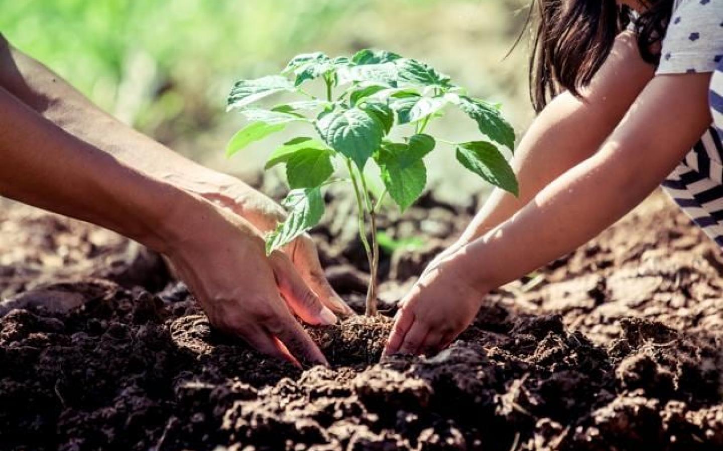 UAE desert landscape with solar panels